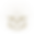 dovegold.png