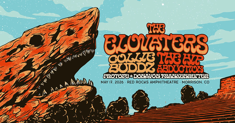 THE ELOVATERS - REGGAE
