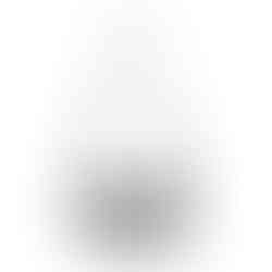 Small clear bag Bangtan Seonyeondan