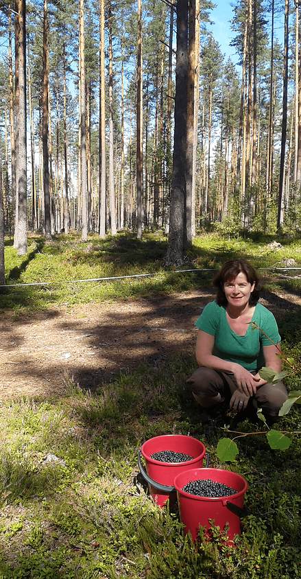 Luontokoulu Tikankolo Tiina Kuusholma