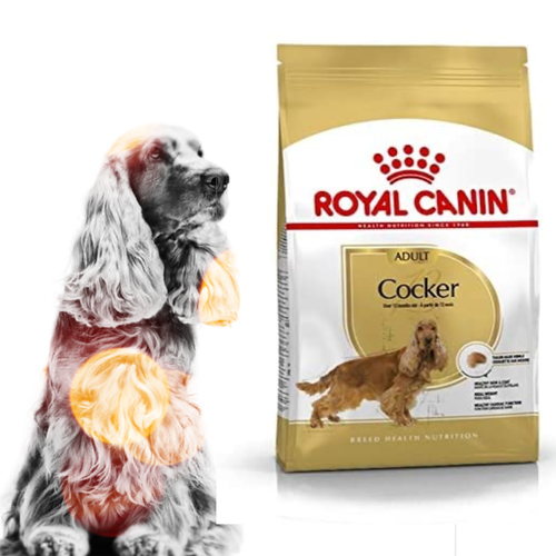 royal canin for cocker spaniels