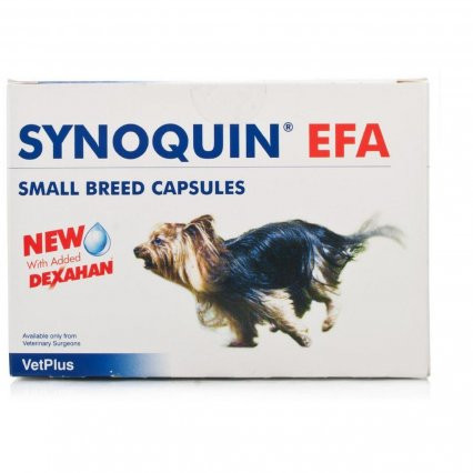 synoquin tablets for dogs