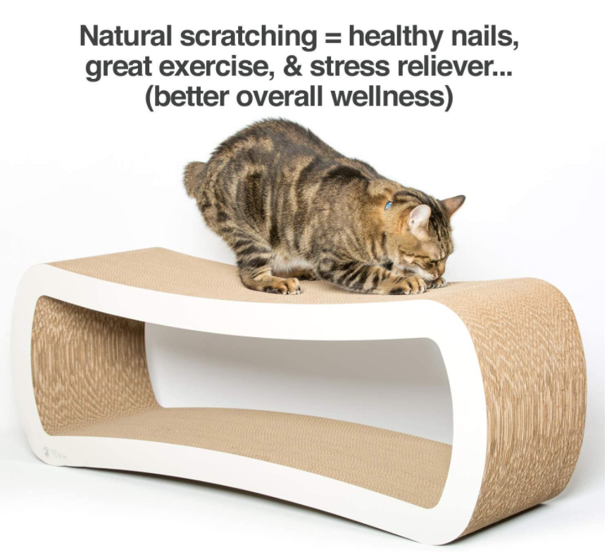 Petfusion jumbo cat scratcher hot sale