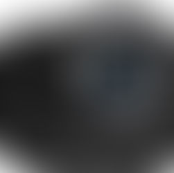 Canon EOS R1, la scheda tecnica