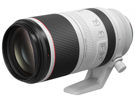 Canon RF 100-500mm f/4.5-7.1L IS USM, il test completo