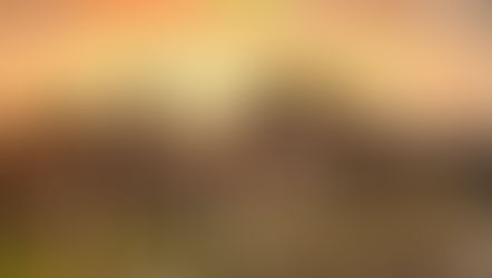 Sabato prossimo vi invitiamo alla mostra gratuita: "Roma - dal Tramonto all'alba"