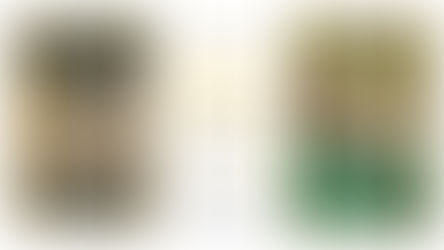 Workshop Fotografico a Ponza