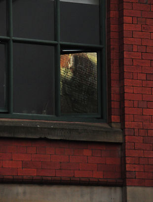 DSC_5133.JPEG