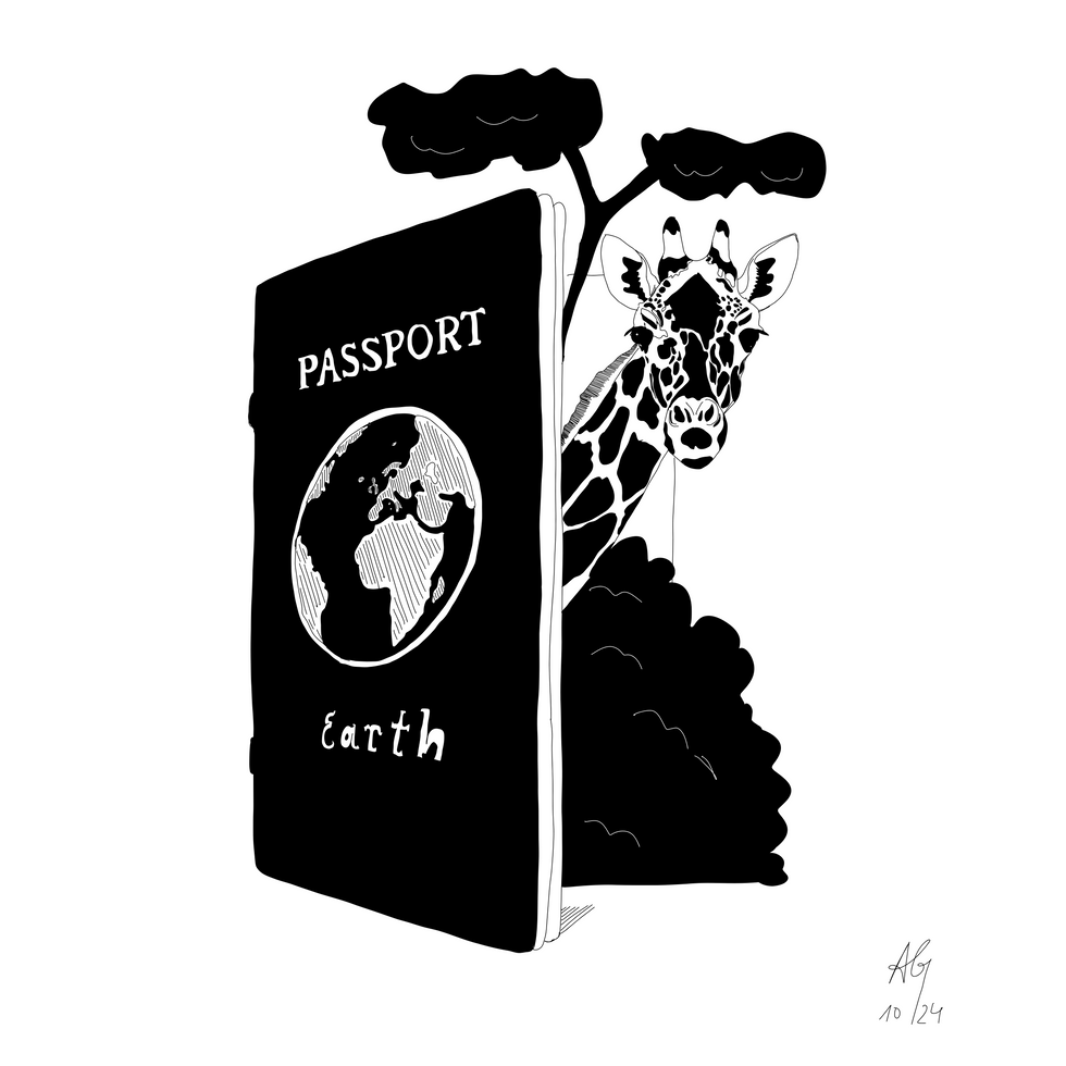Passport