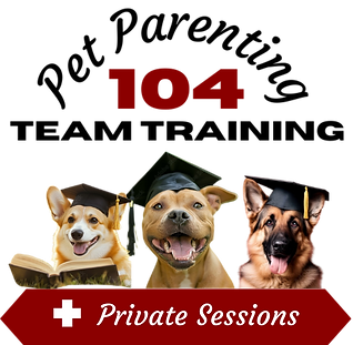 104 Black + Transparent(2).png