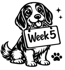 Illustration of a happy Cavalier King Charles Spaniel holding a 'Week 5' sign, representing the final week of the 101 Pet Parenting Course where dogs graduate with reliable real-world skills through positive reinforcement training.