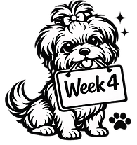 Illustration of a happy Shih Tzu holding a 'Week 4' sign, representing the fourth week of the 101 Pet Parenting Course as dogs build confidence and apply their training in everyday environments using positive reinforcement.