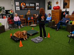 Garage W Pet Parents & Penny.png