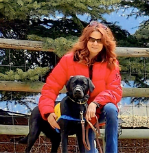 KC Lasco, Prescott Valley, Arizona Professional Trainer