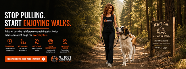 Certified professional dog trainer KC walking a calm Saint Bernard during a positive reinforcement training session on a forest trail in Prescott Valley, Arizona.