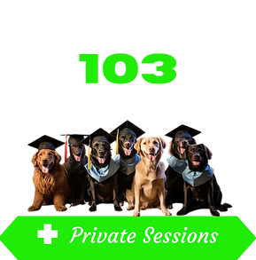 103 White + Transparent Course Logo.png