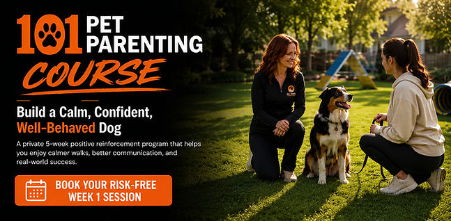 Homepage hero banner for the 101 Pet Parenting Course featuring a KC Lasco, professional dog trainer coaching a pet parent and a calm dog during a private positive reinforcement training session.