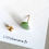 Miniature : Puces d'oreilles CAPUCINE vertes