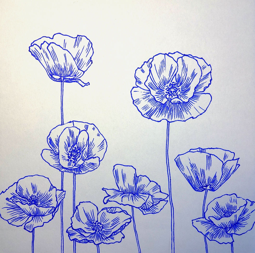 Poppy