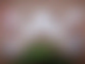 First Time Ever All Four Postseason Wild Card Rounds Were Sweeps