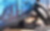 AdobeStock_295094630.jpeg