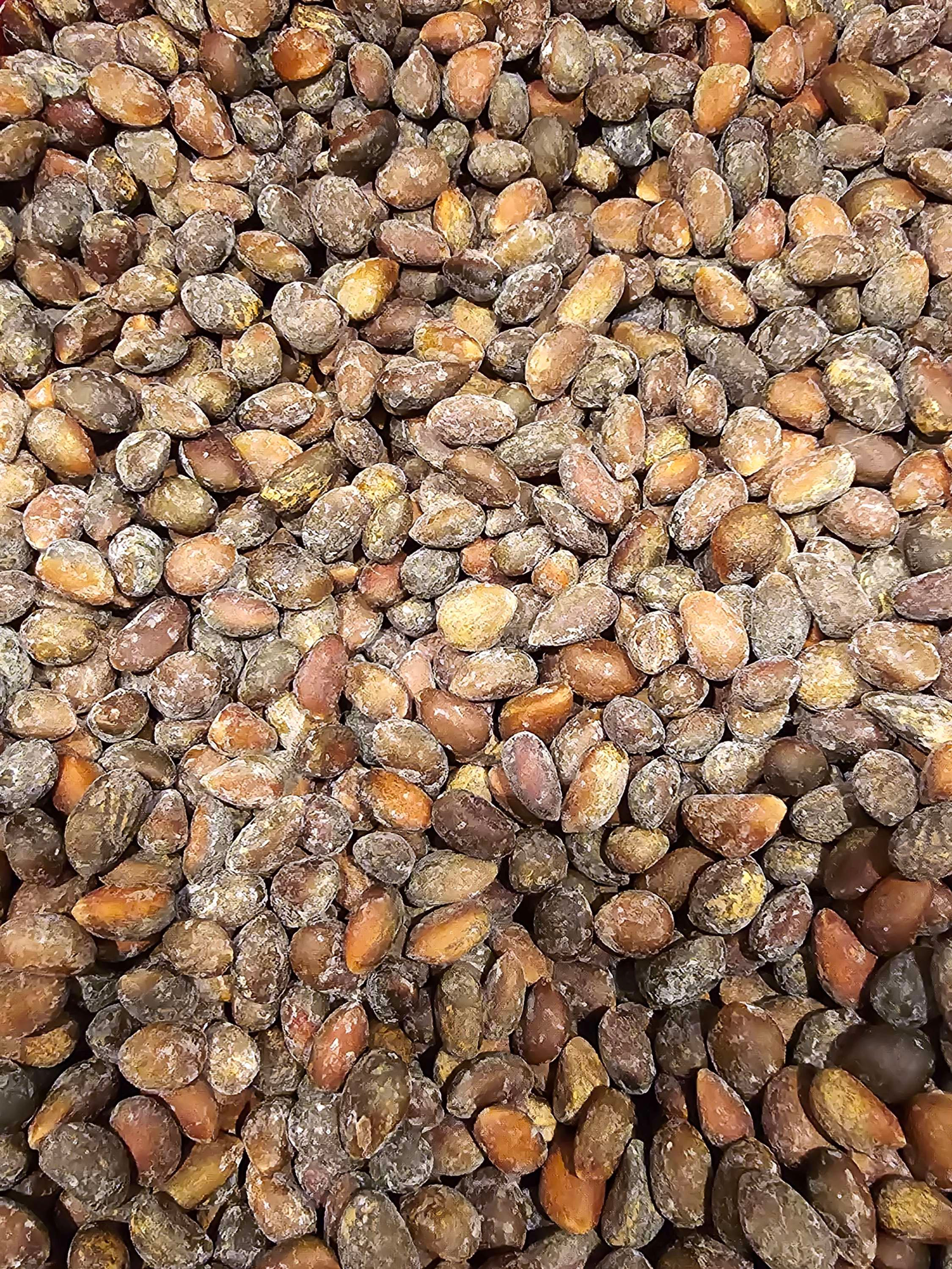 1 lb Roasted and Salted Pinon in shell