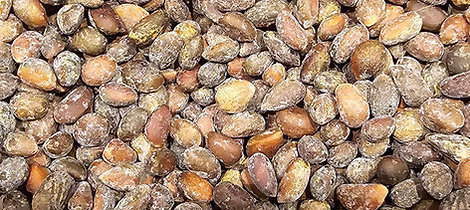 3 lbs Roasted and Salted Pinon