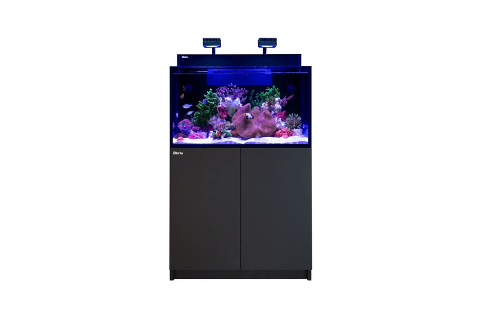 Red Sea MAX NANO G2 XXL - Schwarz