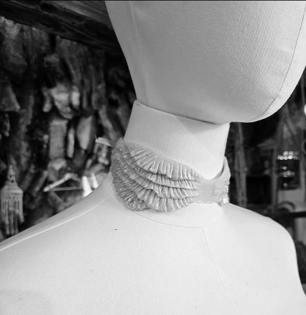 Miniatura: branquias