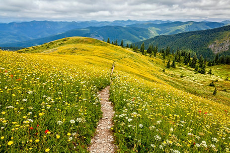 AdobeStock_231208467.jpeg