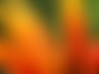 Morning Dew