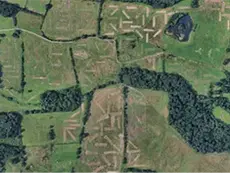Satellite view of green fields and rural landscape showing excavated archaeological trenches crisscrossing the terrain.