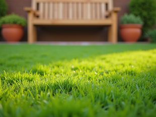 Expert Lawn Care and Maintenance by Falconer Landscaping