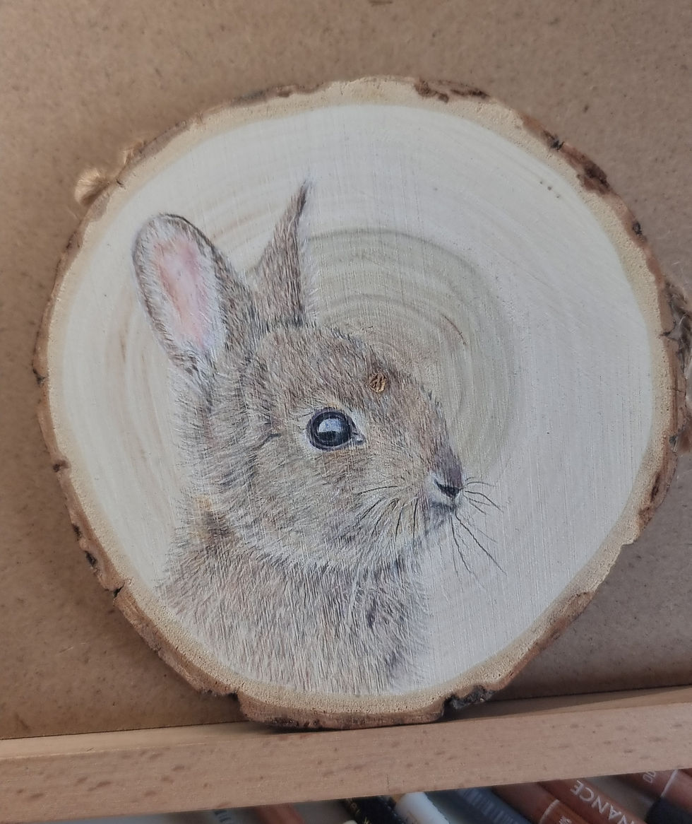 Rabbitonwood_edited