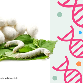 Serratiopeptidase: A natural anti-inflammatory enzyme