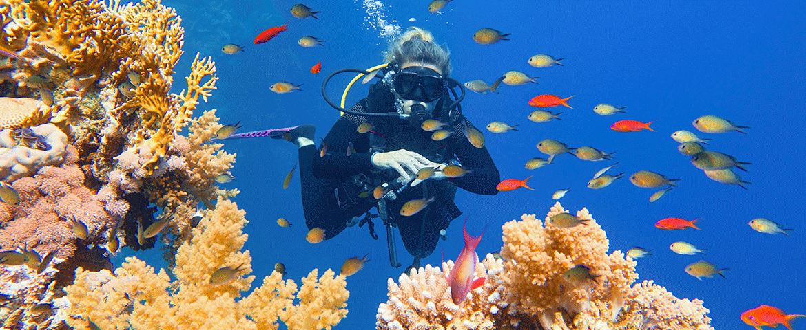 plongee-sous-marine_0.jpg.gif