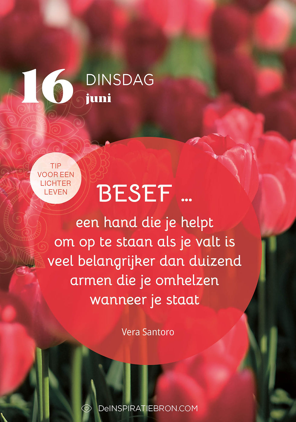 Thumbnail: Scheurkalender 2026