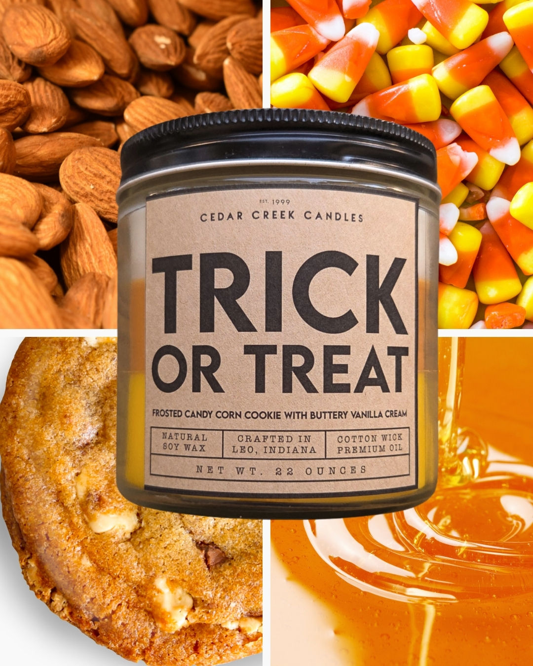 Trick or Treat