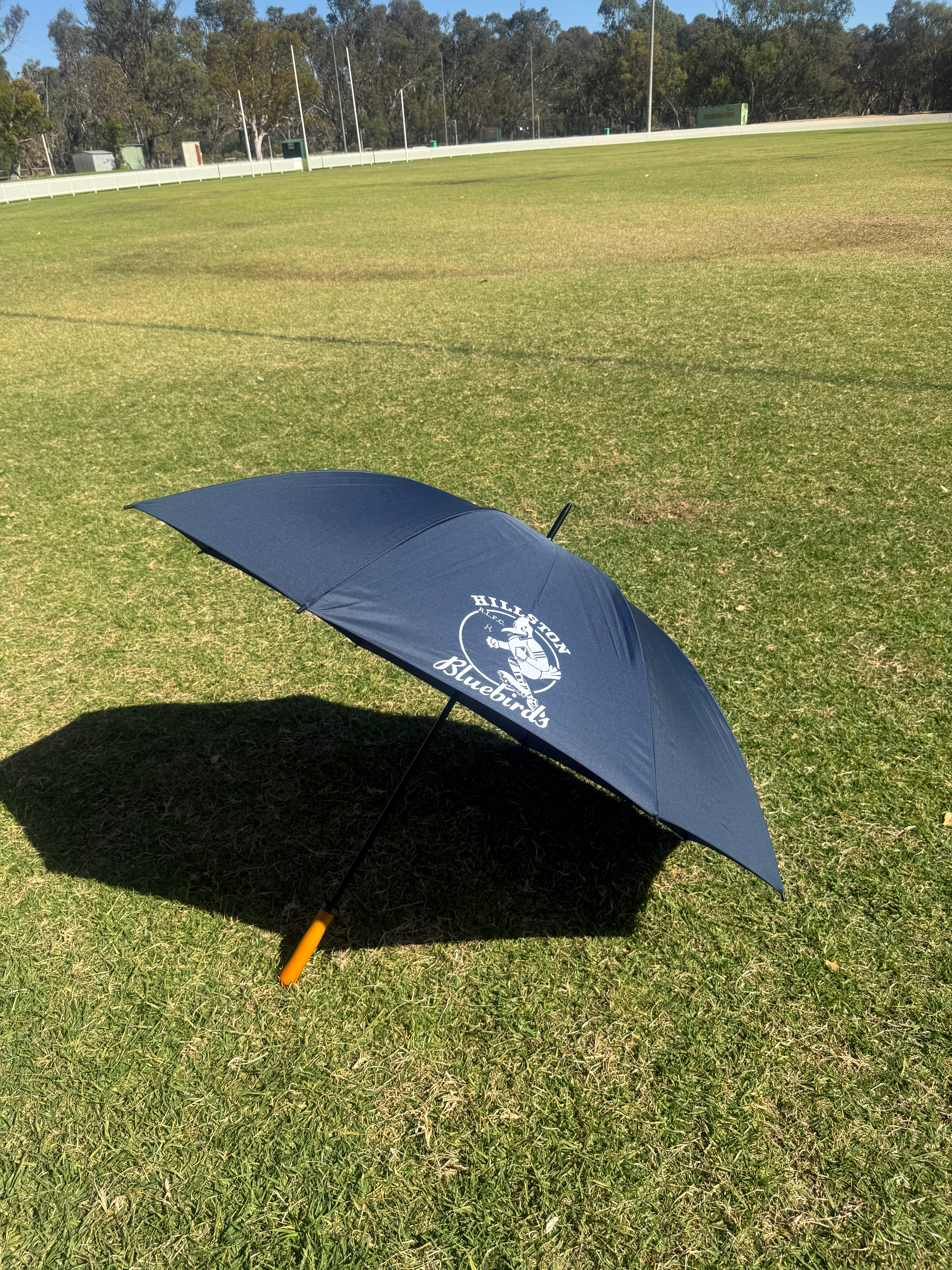 Umbrella