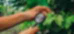 Vine Monitoring