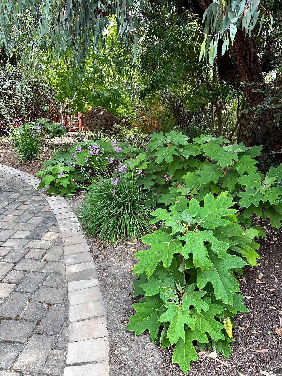 Green Earth Landscaping