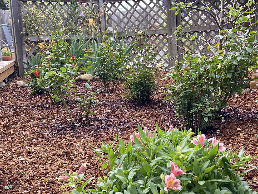 Green Earth Landscaping