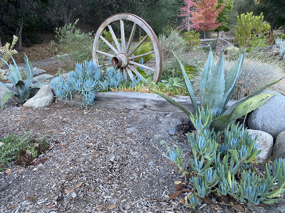 Green Earth Landscaping