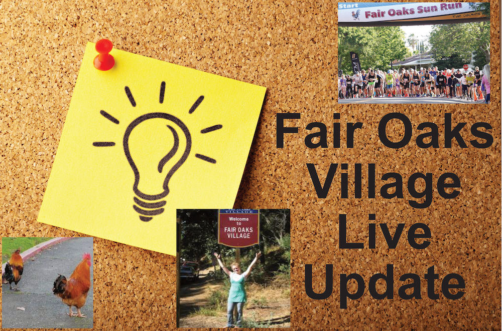 Live Village Update - Aug 31, 2022 content media