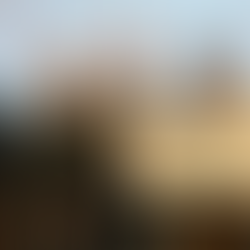 Afghan immigrants launch St. Louis businesses, with a little help from the International Institute