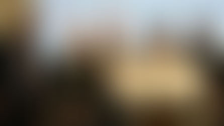 Afghan immigrants launch St. Louis businesses, with a little help from the International Institute