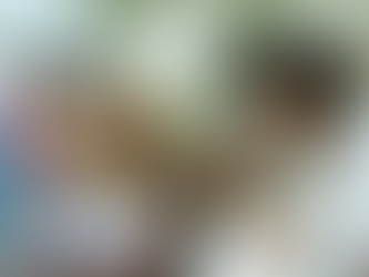 African Film Festival celebrates 20 years