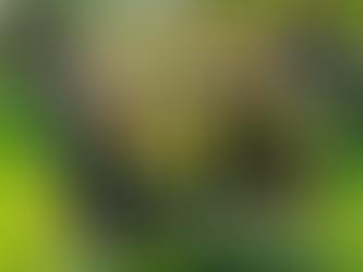 As U.S. refugee cap drops, a St. Louis race takes on new urgency