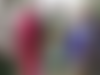 African Diaspora Council plans wealth summit, gala in St. Louis