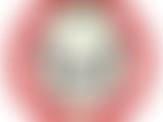 ‘Uplifting immigrant voices’: WashU students found new immigrant justice club